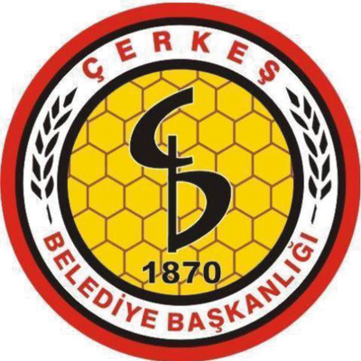 Çerkes organize